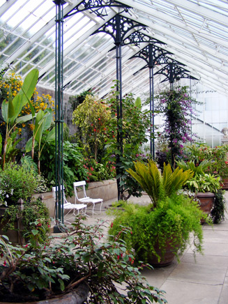 Plant Nursery & Garden Centre