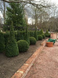Garden Plants
