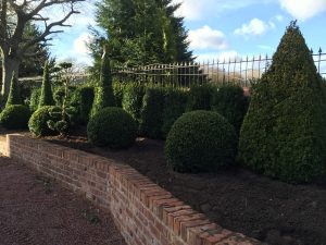 Garden Plants